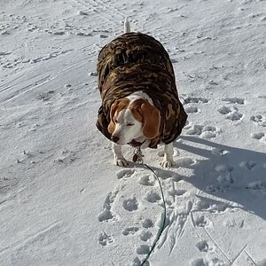 Women's Camouflage Ski Jacket